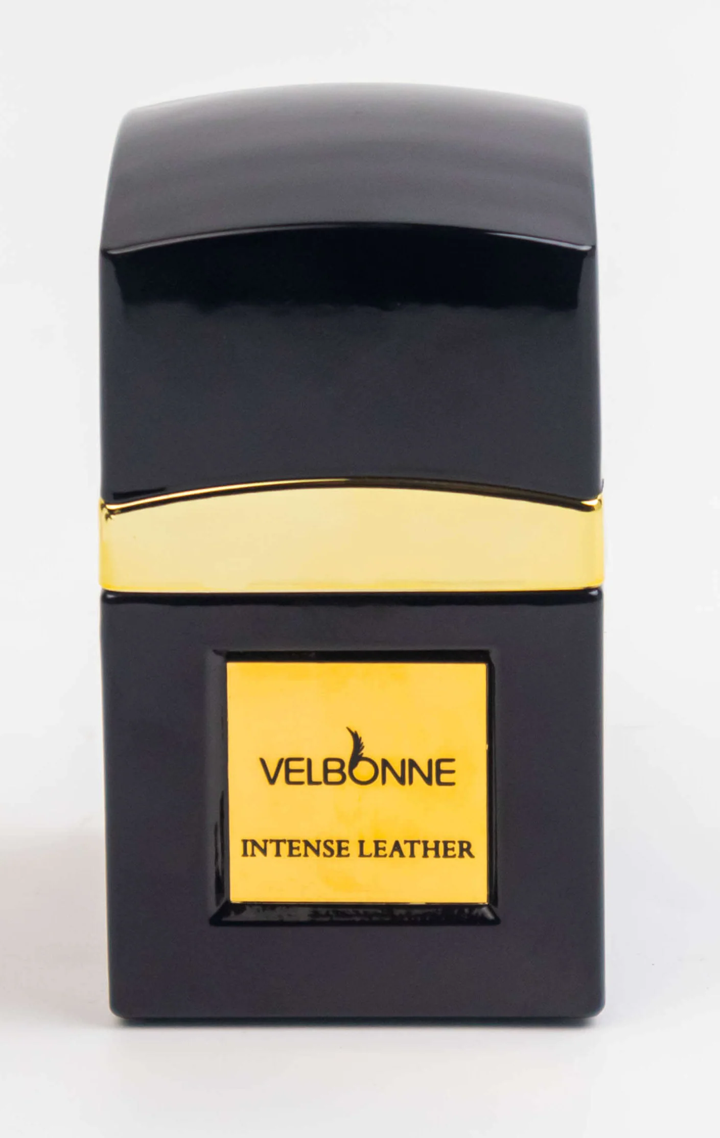 INTENSE-LEATHER-3-e1671881542303